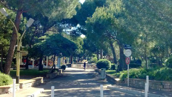 Parc de la Pinede